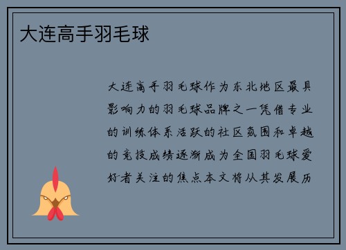 大连高手羽毛球
